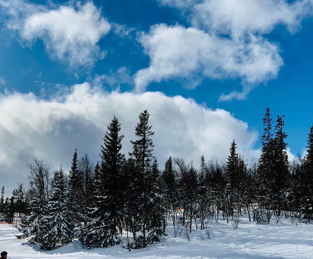 Winter Beneath a Blue Sky