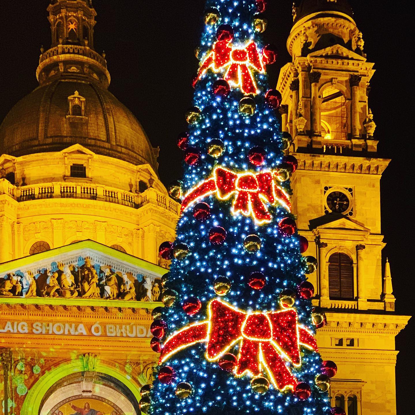 December Glows between the Domes