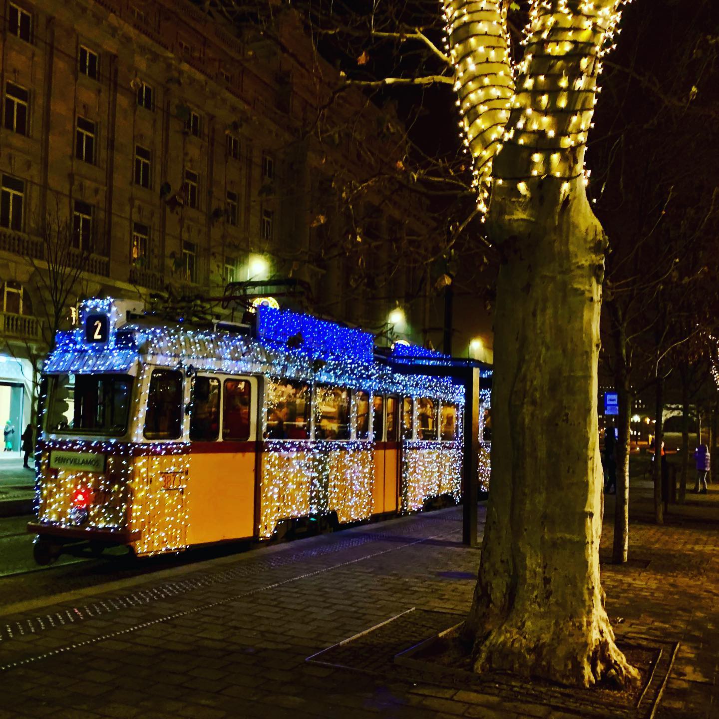 A Tram Carrying December's Light
