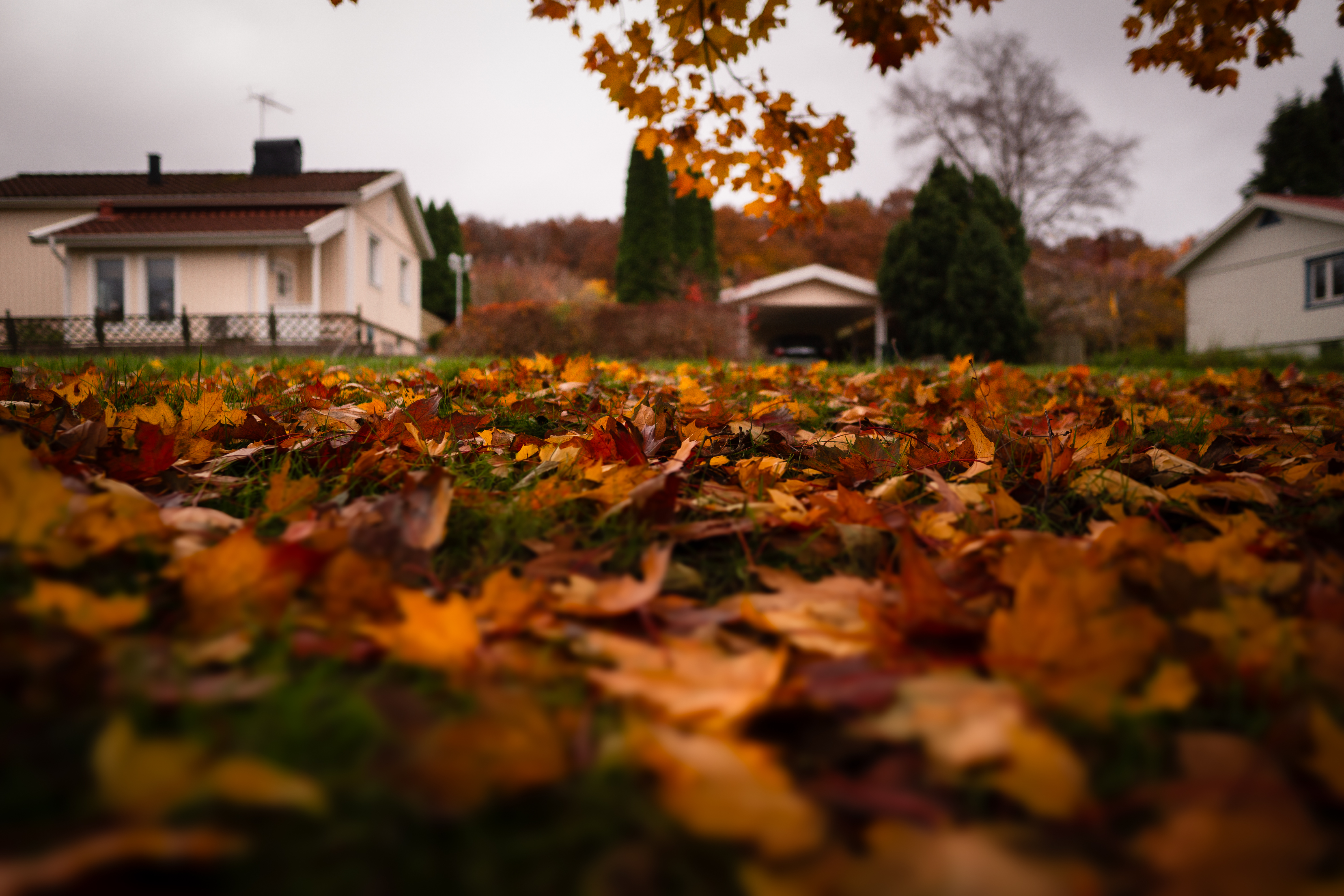 Autumn at the Doorstep