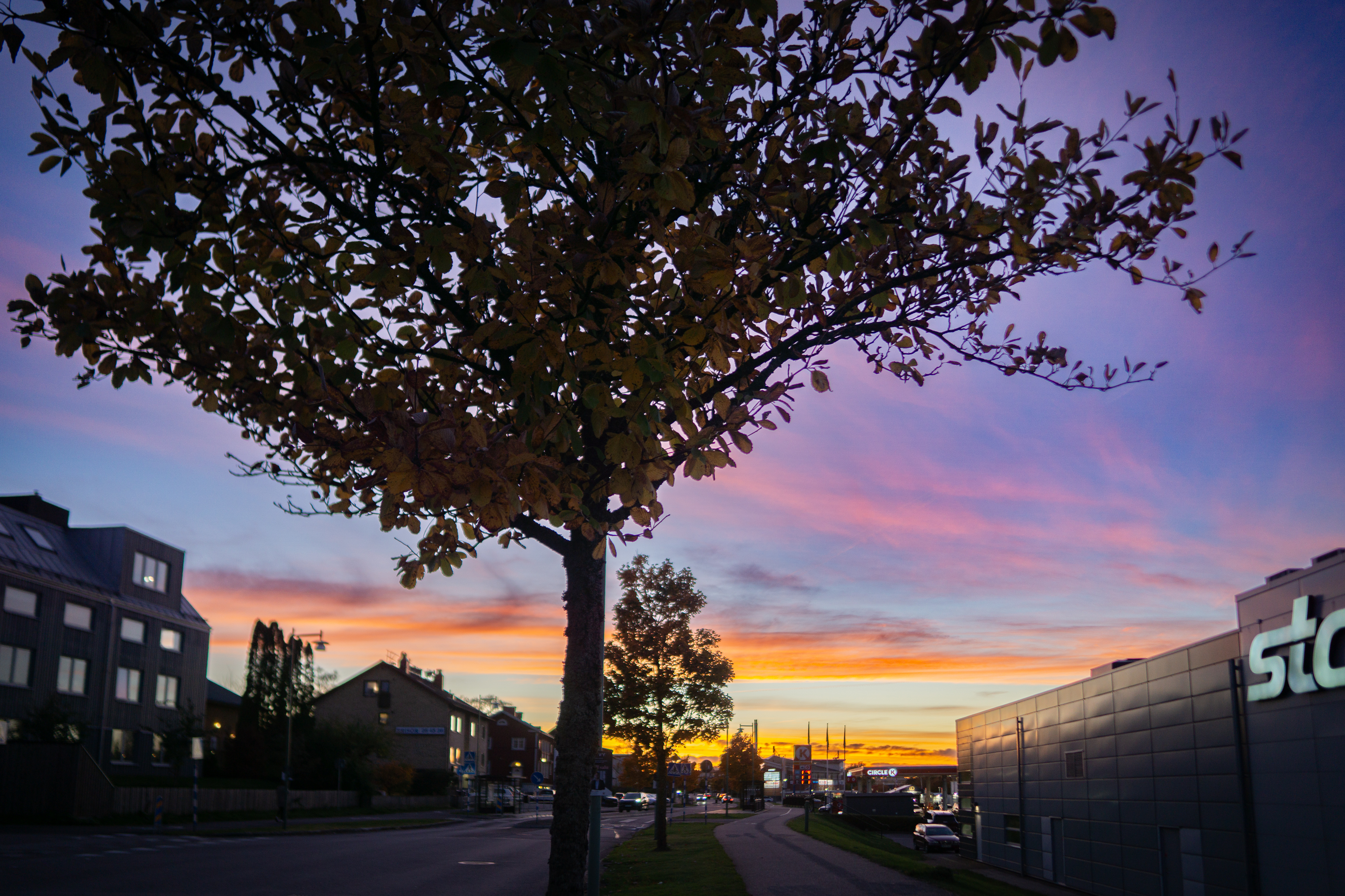Evening Comes Home in Colour