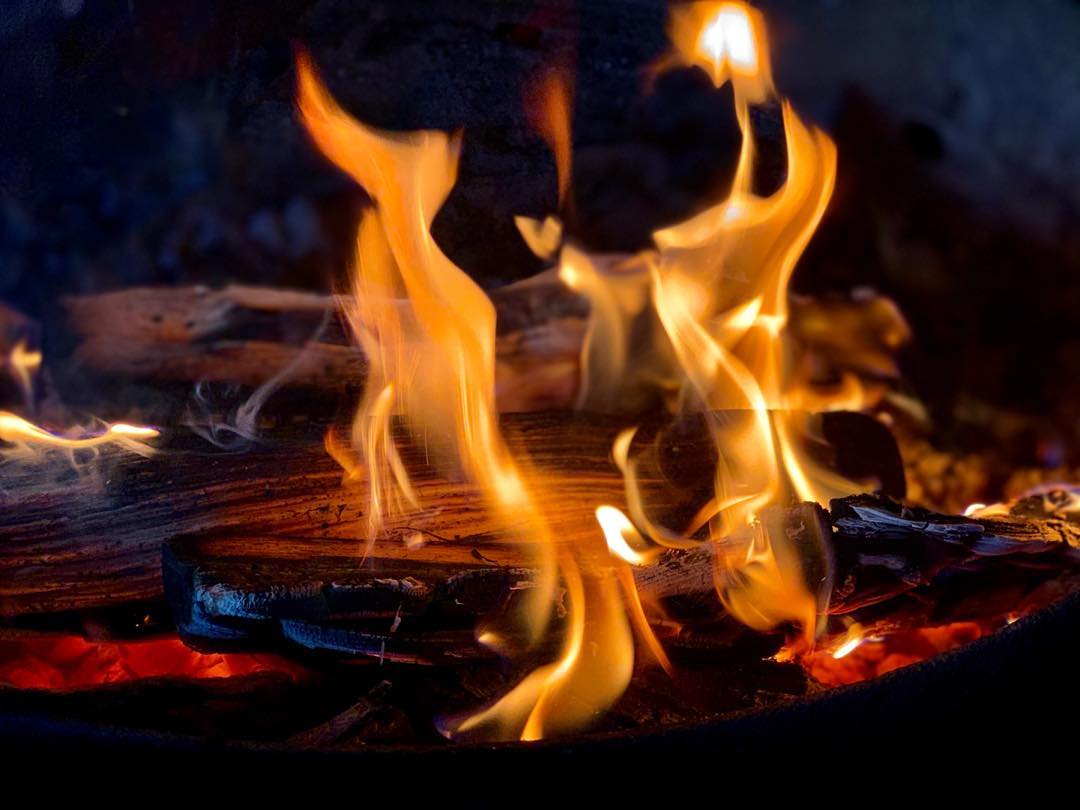 Embers Remember the Forest