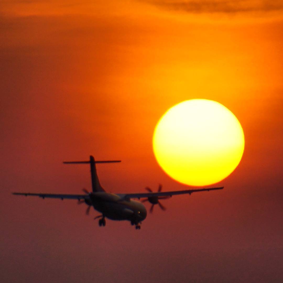 Wings beneath a Molten Sun
