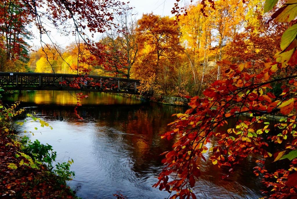 A Bridge Through Burning Leaves