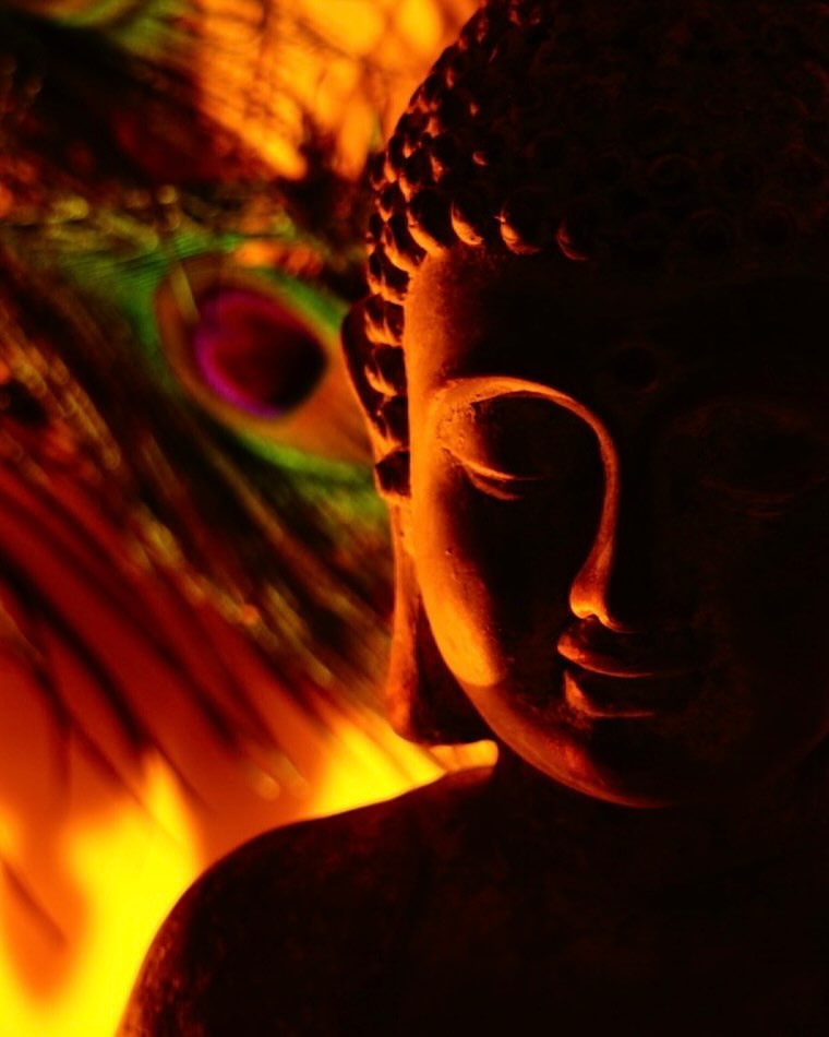 Stillness in Amber Light