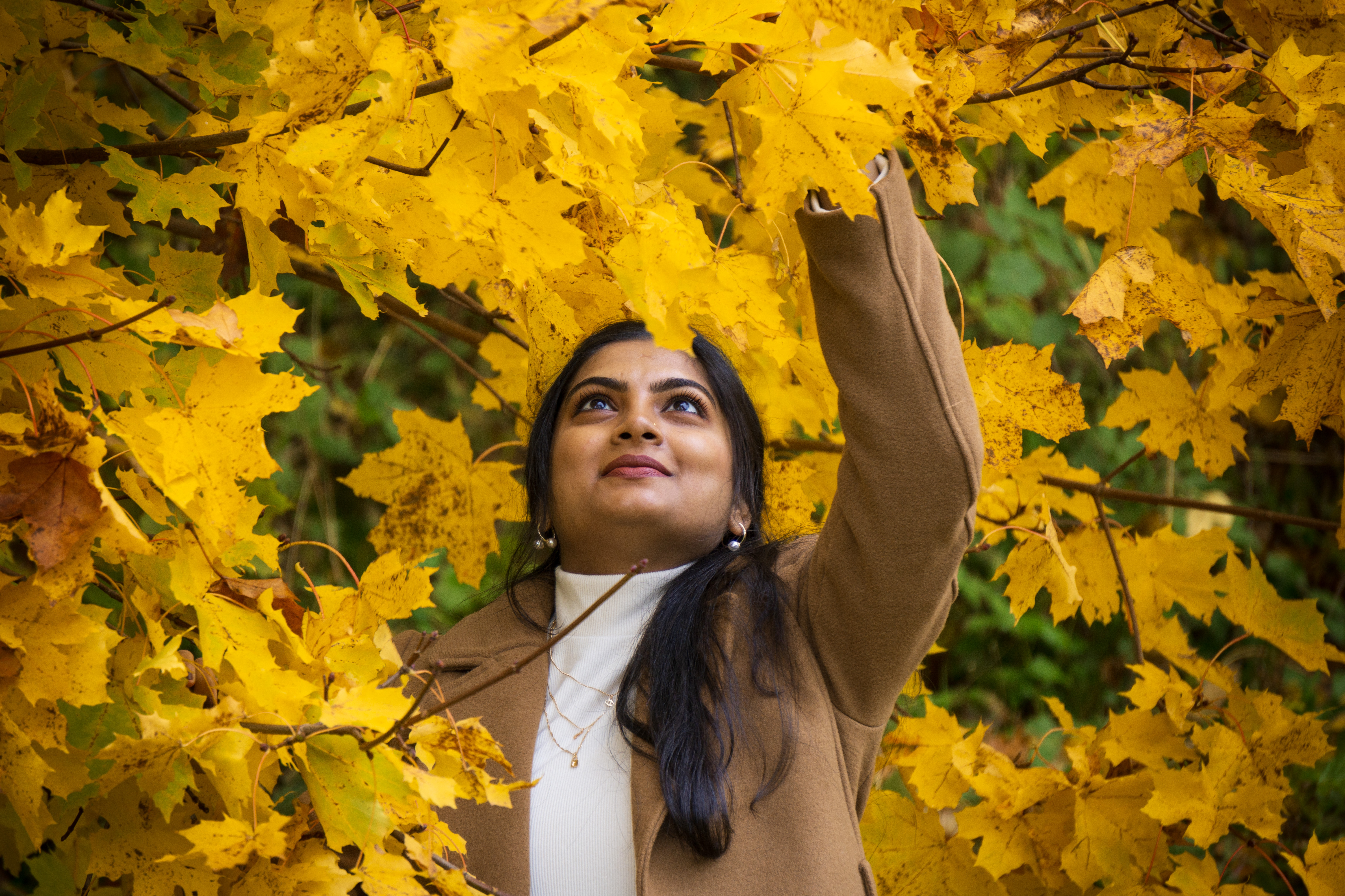 A Handful of Autumn