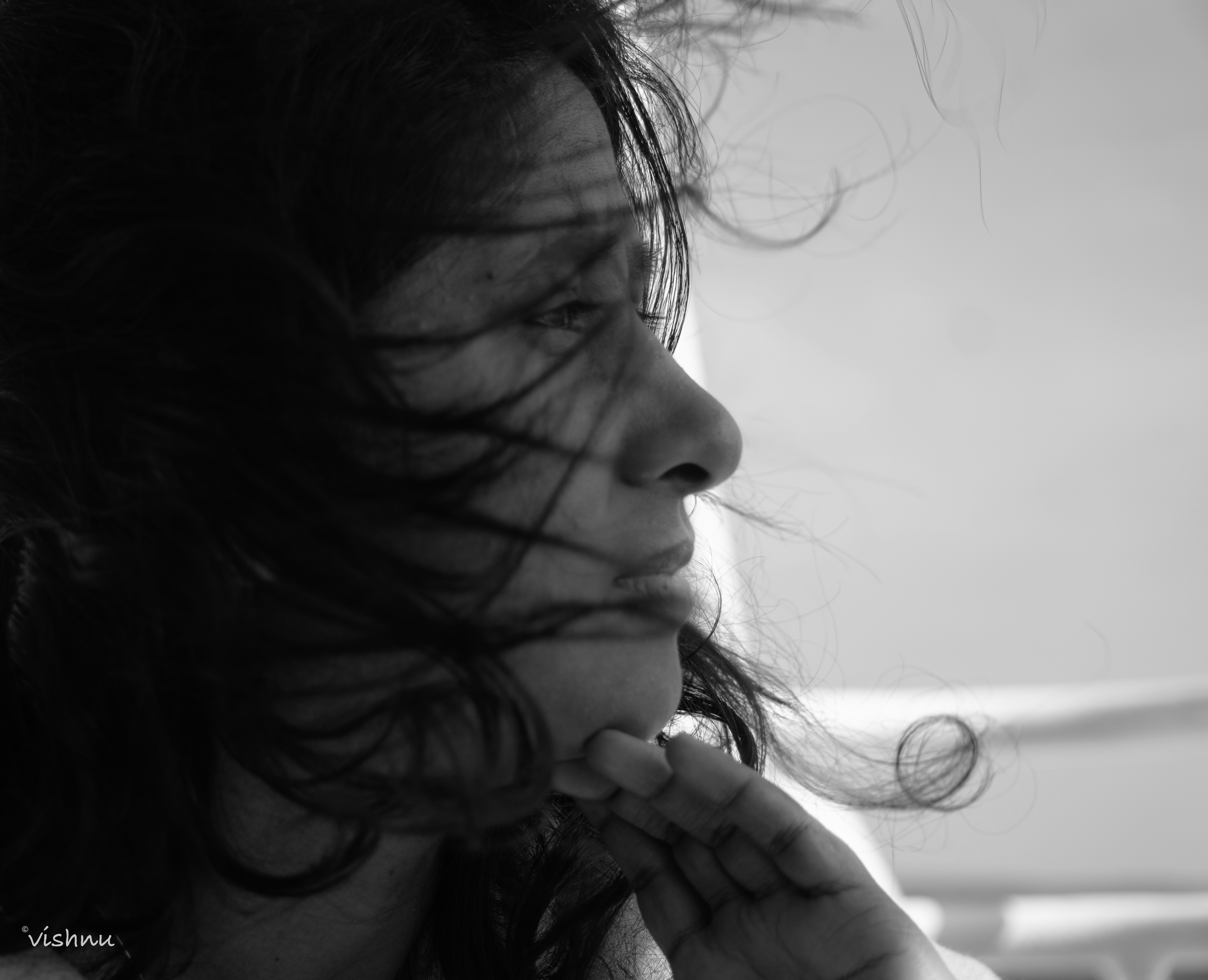 A Thought Carried by the Wind