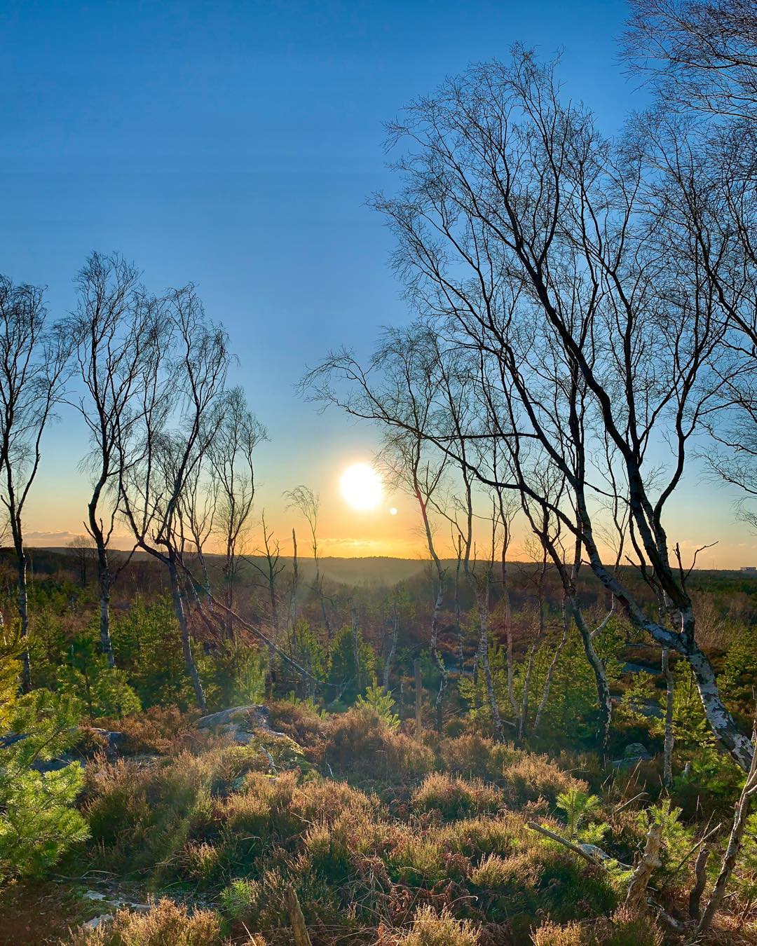 The Meadow Wakes beneath the Sun
