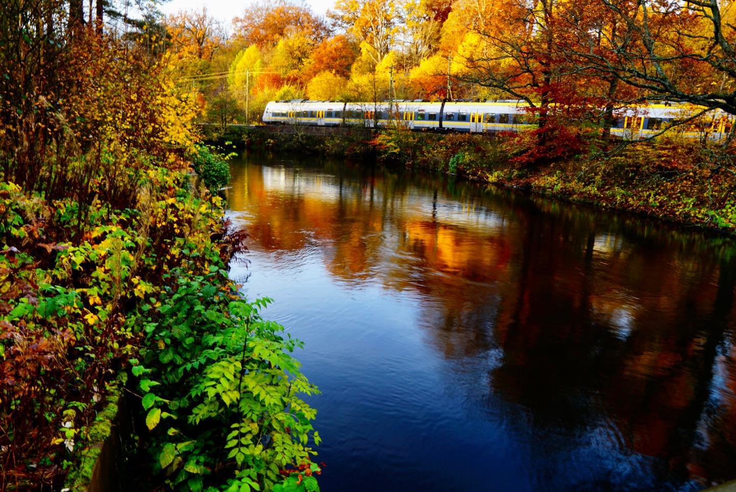 Autumn Rides Beside the River