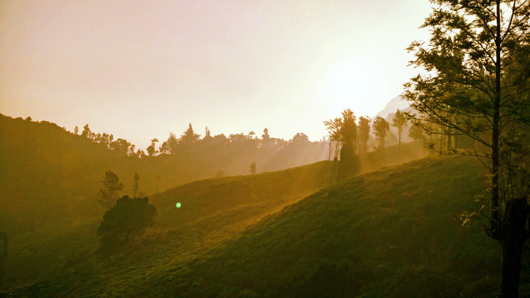 Hills Wrapped in the Last Light