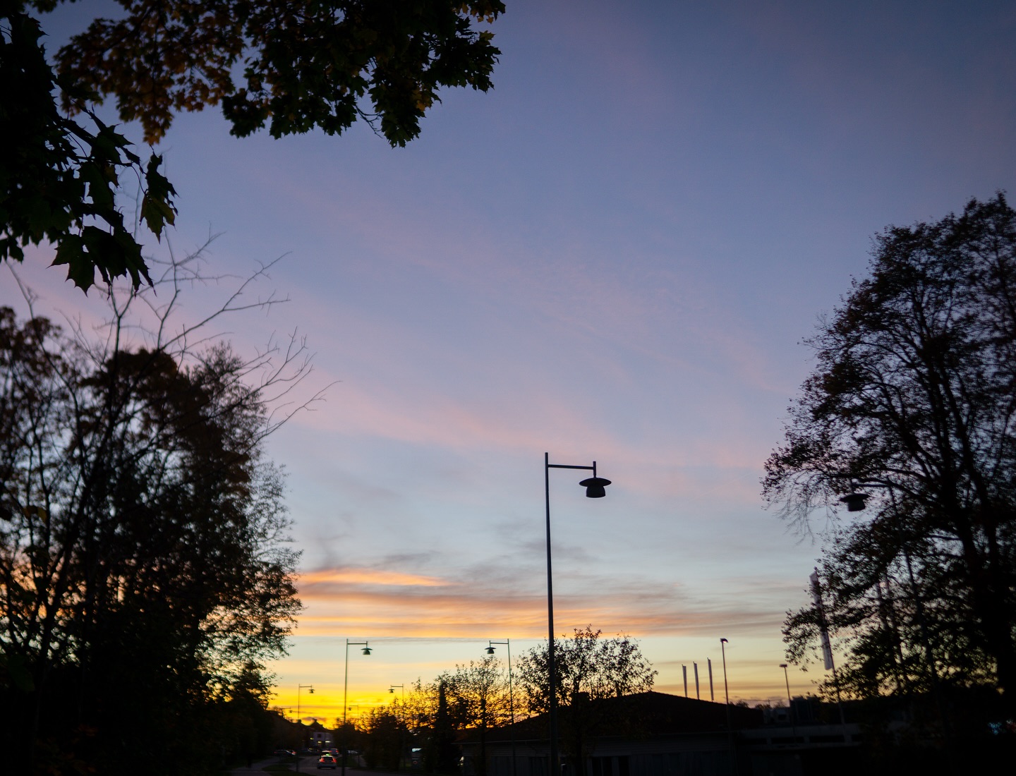 A Streetlight Waiting for Stars
